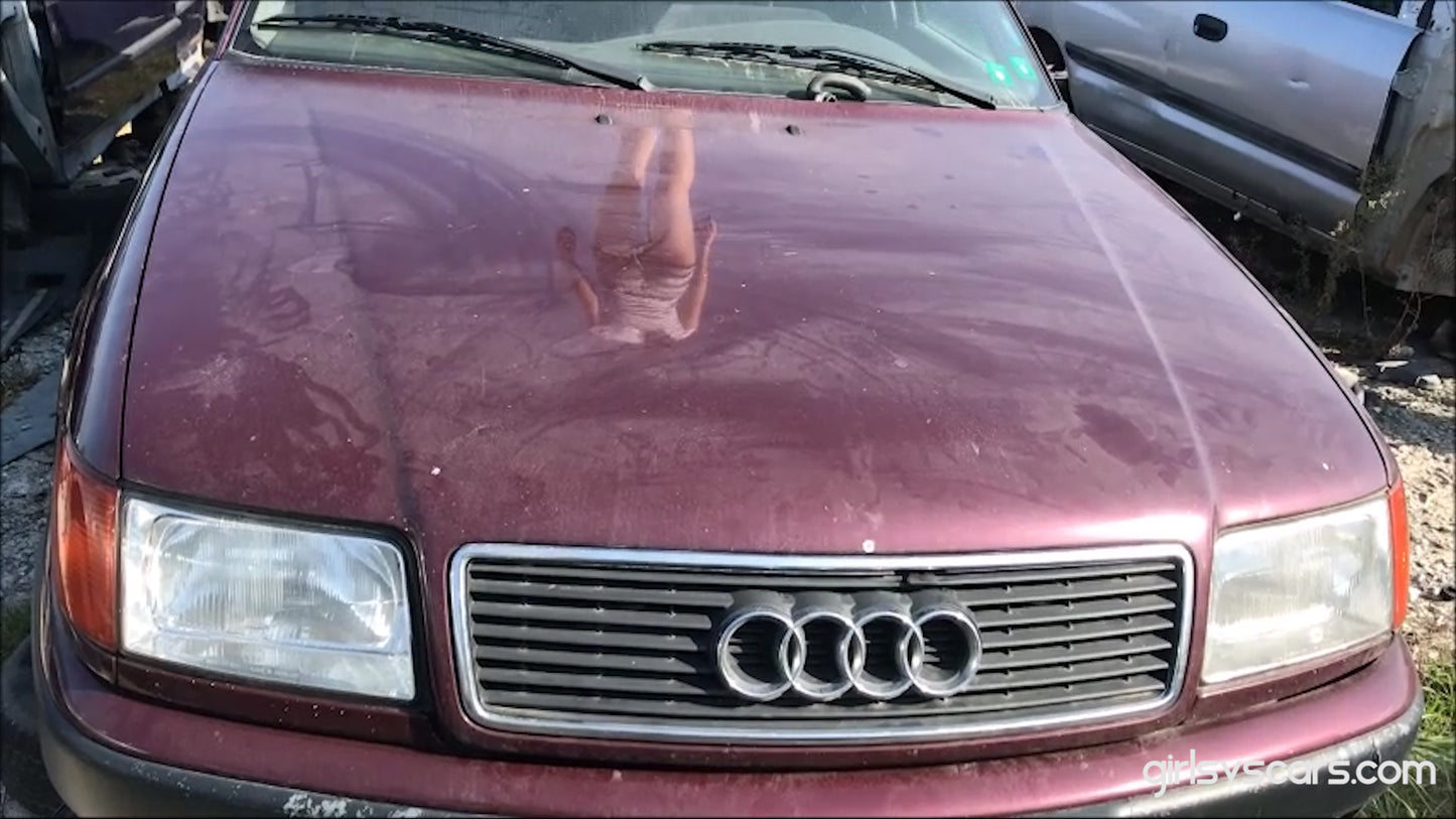 Tina Vs Old Audi