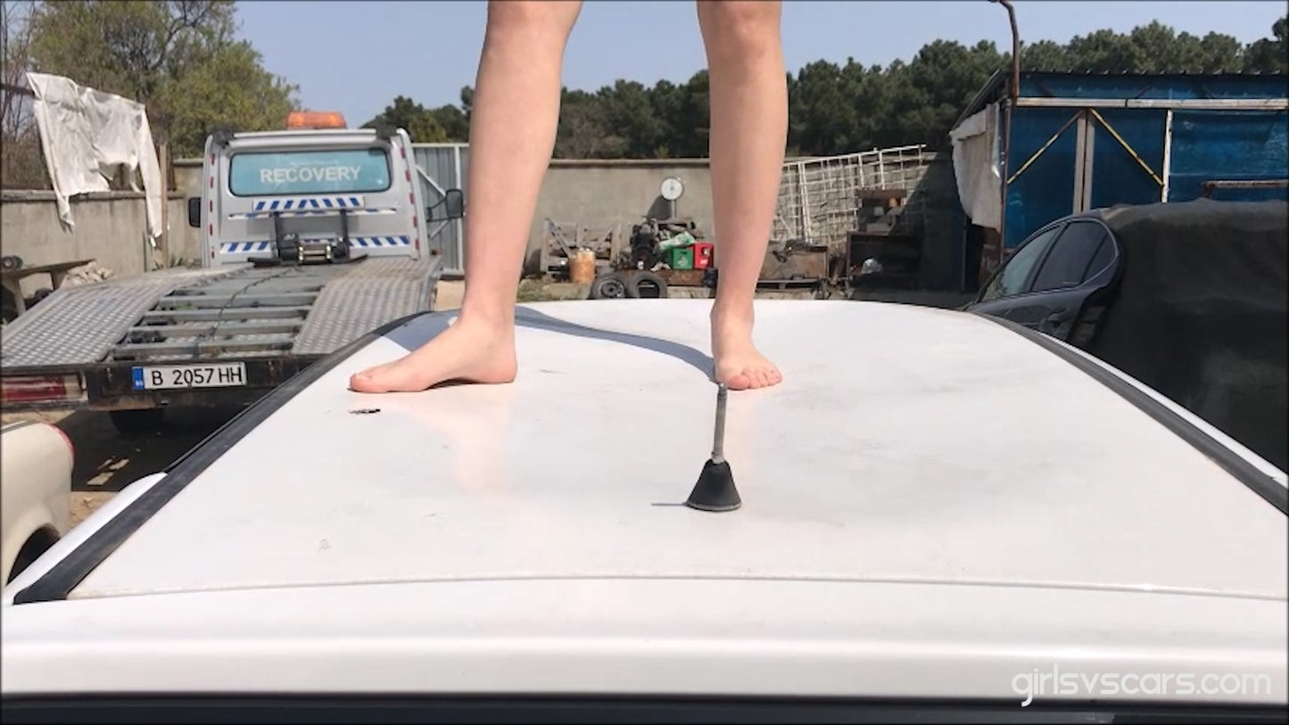 Tina's Friend Vs White VW