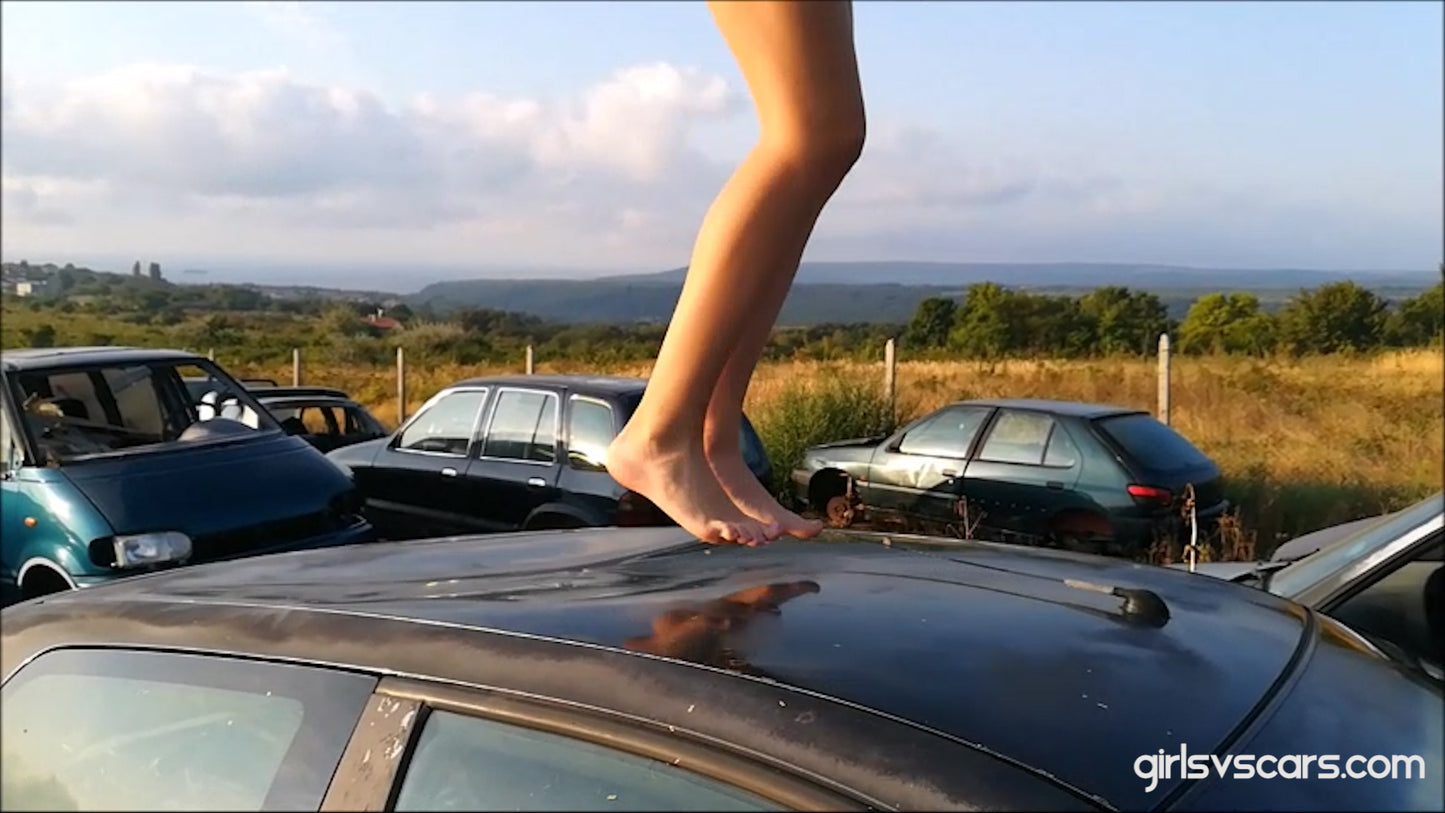 Tina Vs Gray Car 2