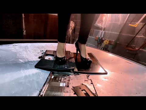 Nova Vs Volkswagen Passat